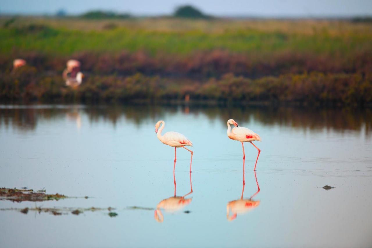 Fiordo Topazio Изола Альбарелла Экстерьер фото